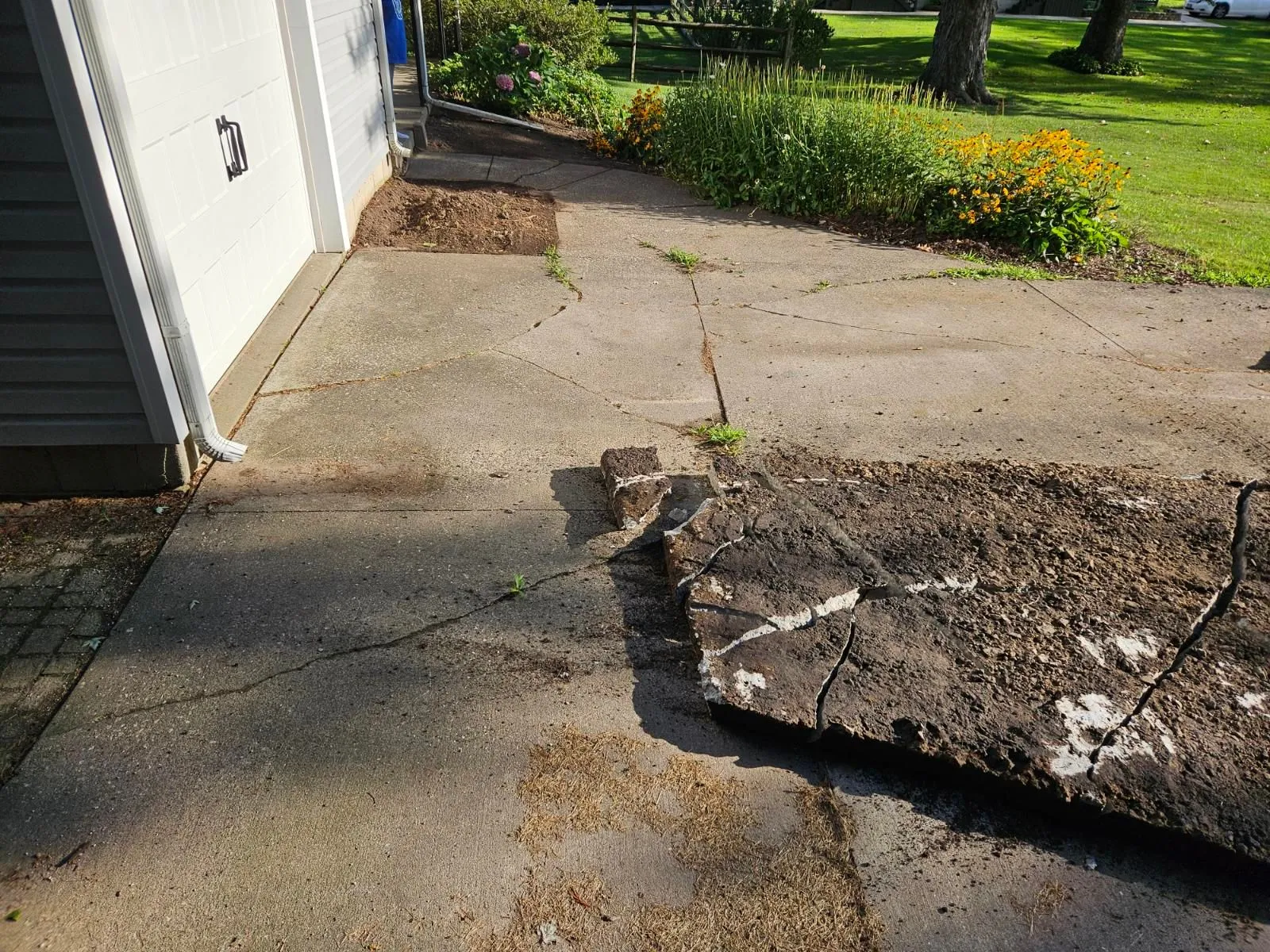 Driveway Before