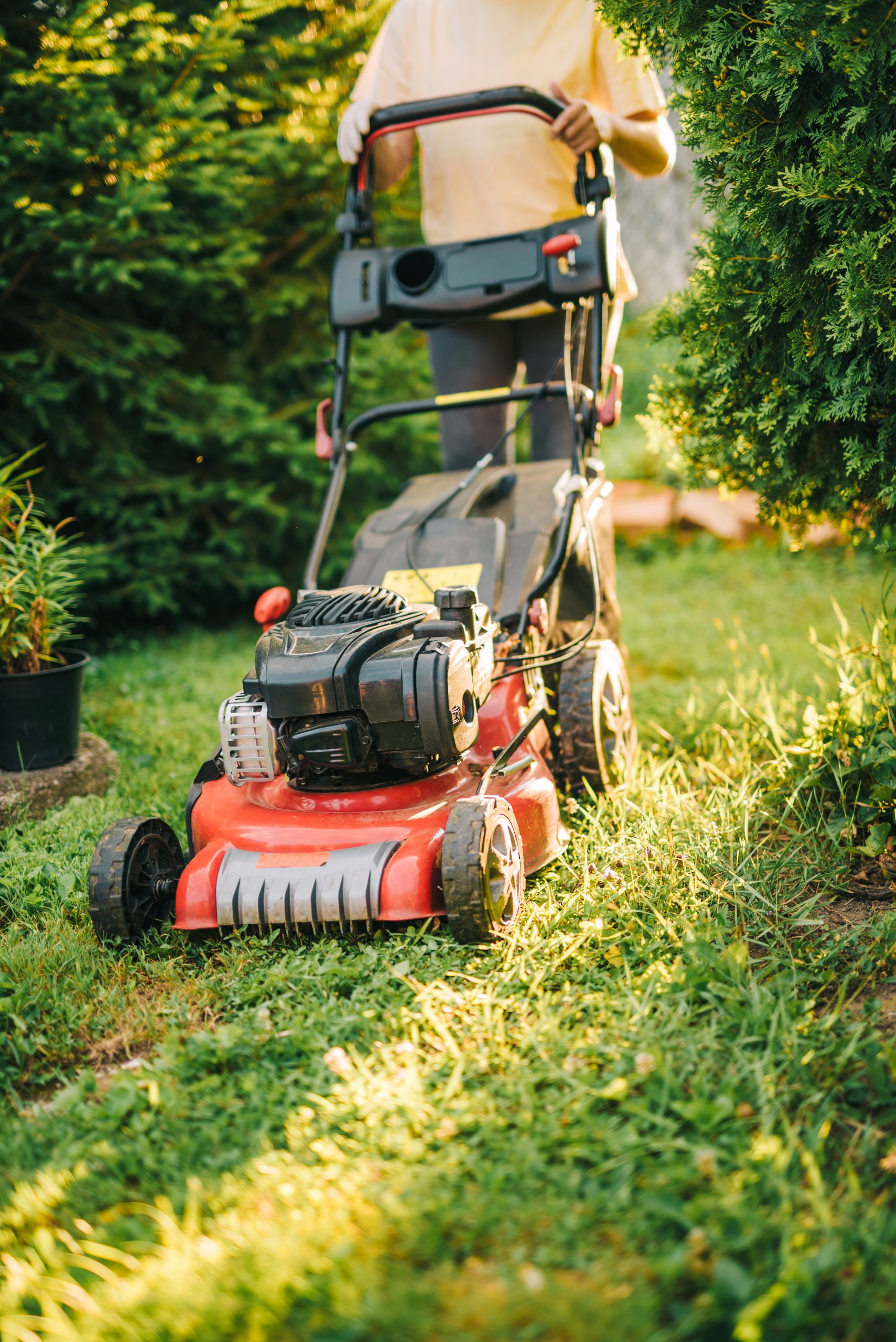 Gardener using lawnmower
