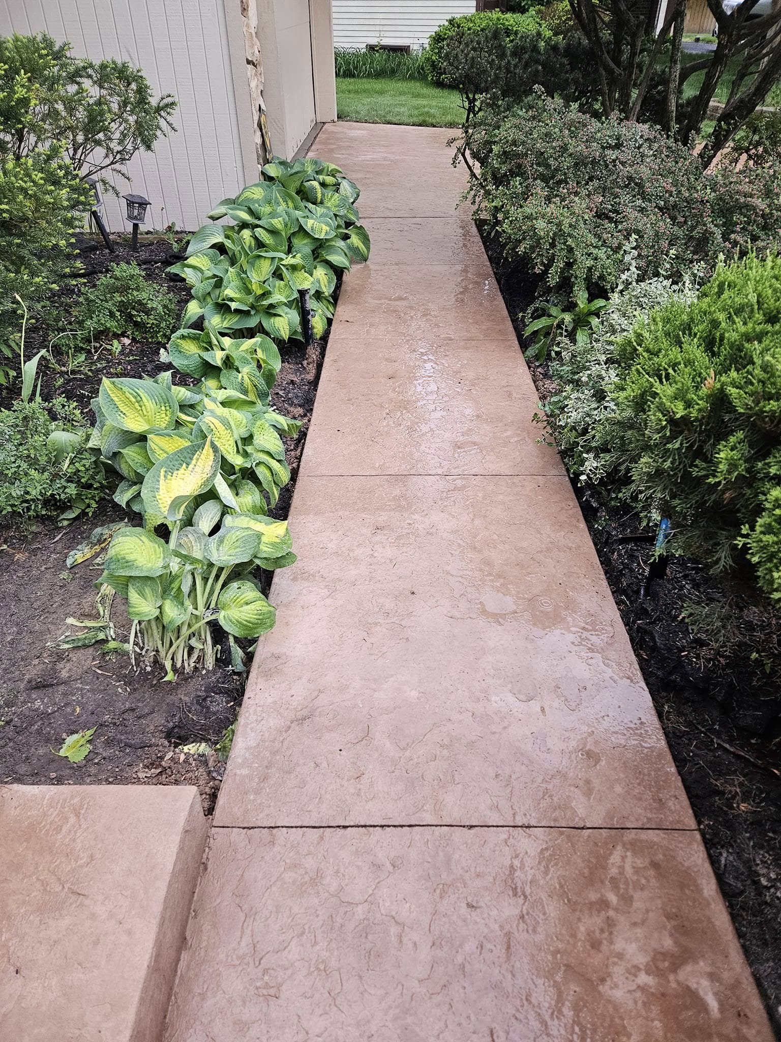 Concrete stamping and coloring